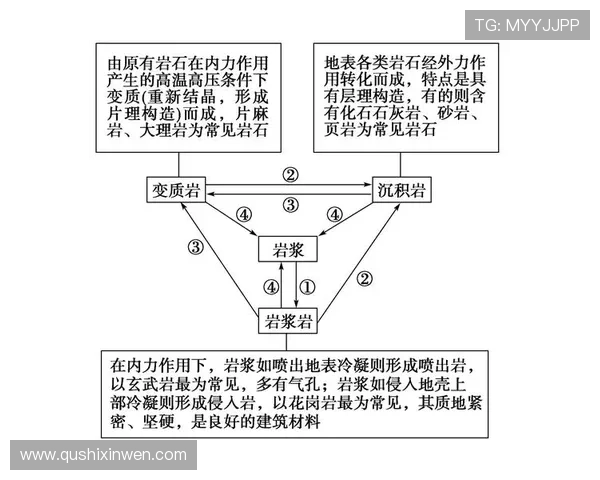 问鼎28圈的成长路径与升级策略，助你快速迈入高手行列