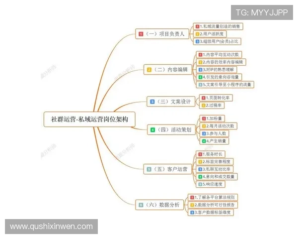 问鼎国际平台的关键因素详解提升品牌影响力和用户粘性的实用方法